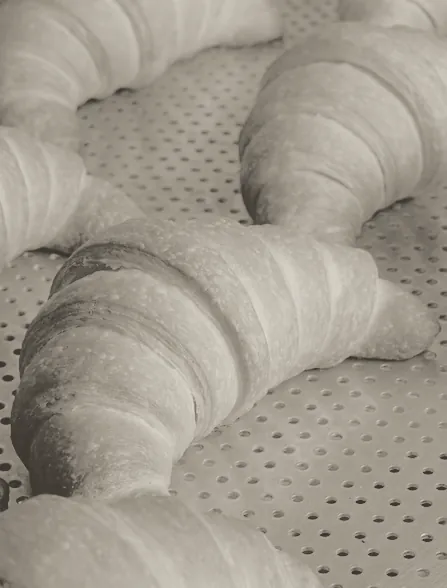 Rows of shaped croissants on a perforated tray