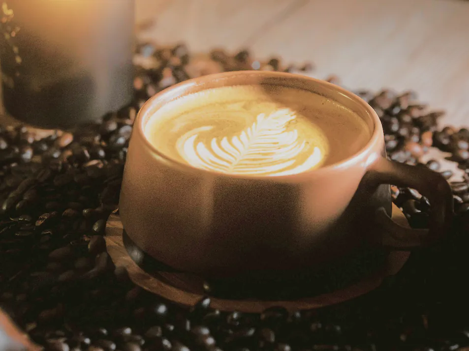 Flat White, photograph 3 of 5