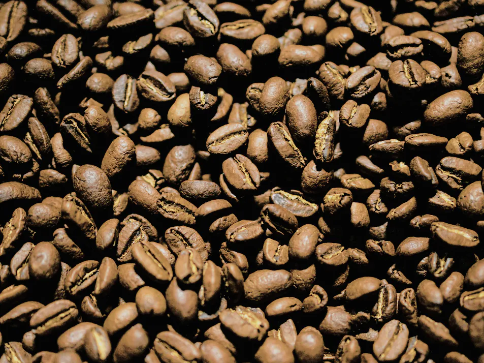 House Blend Coffee, photograph 1 of 5