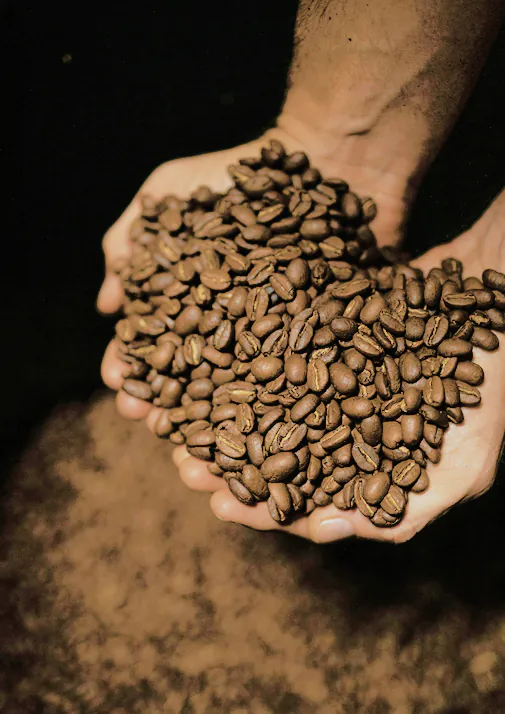 House Blend Coffee, photograph 2 of 5