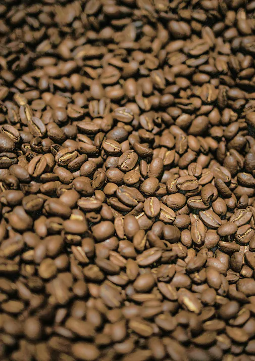 House Blend Coffee, photograph 4 of 5