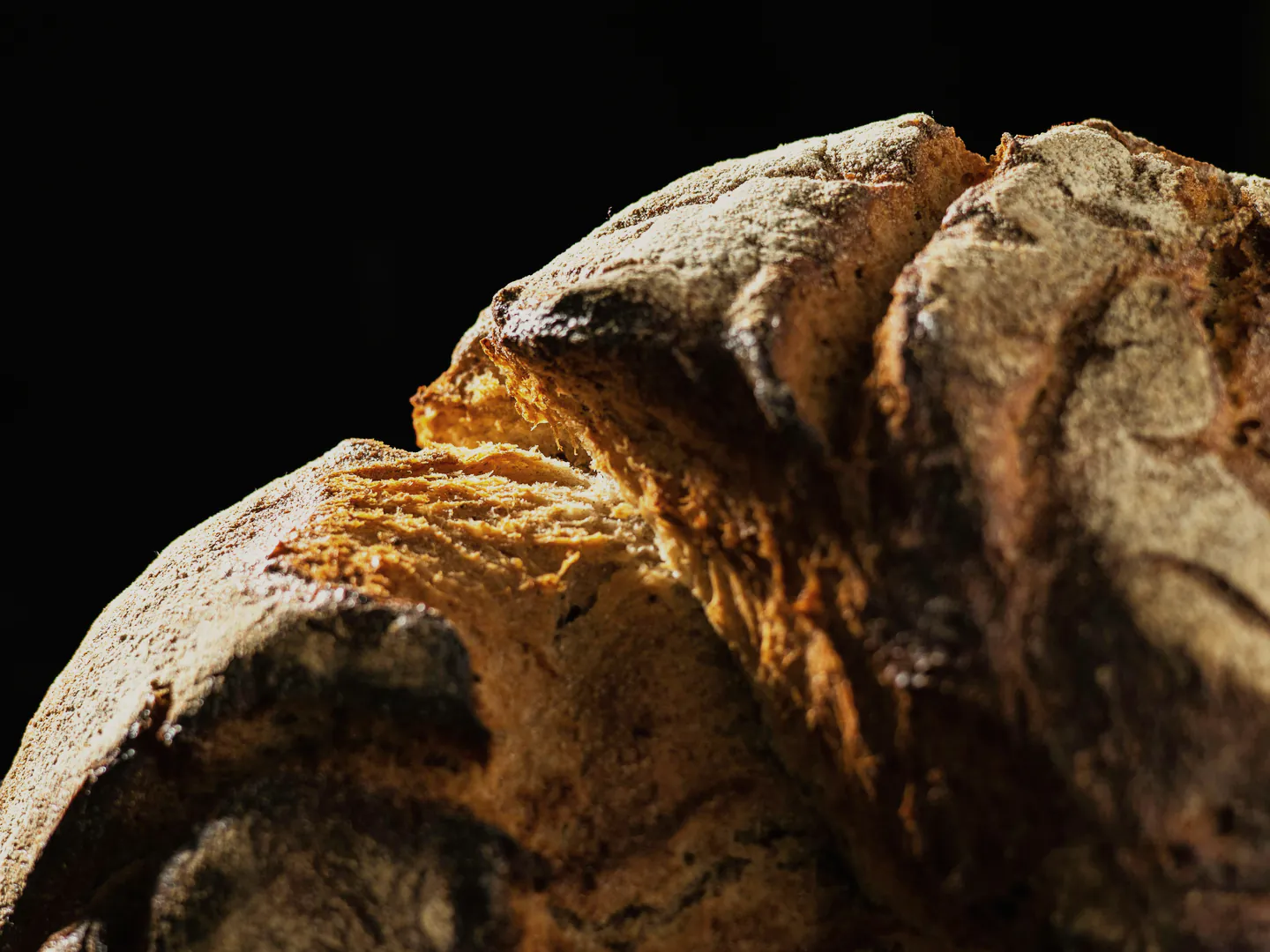 Dusted, scored sourdough crust close up, lit low against black