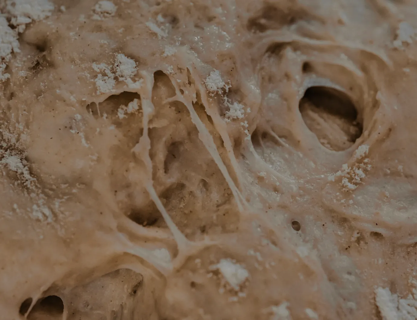Close up of proved dough stretching between its bubbles, dusted with flour