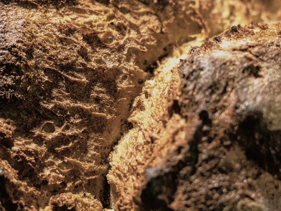 Rye Miche, photograph 3 of 3