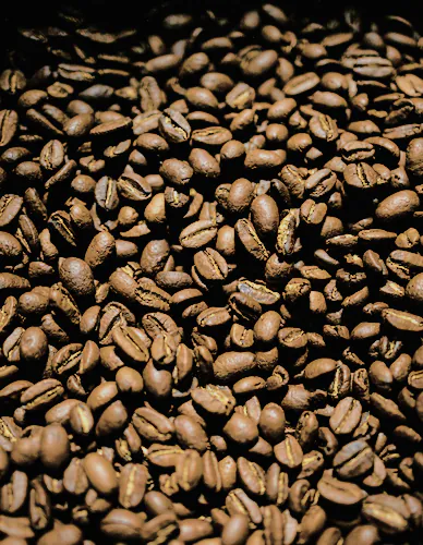 House Blend Coffee, baked at Halden